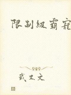 限制级霸宠