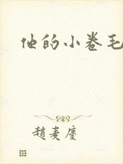 他的小卷毛