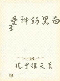 爱神的黑白羽翼3
