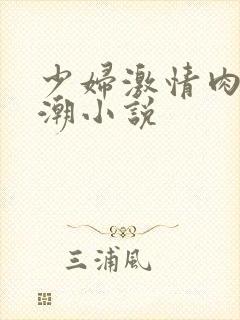 少妇激情肉欲高潮小说
