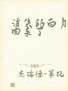 消失的白月光又回来了