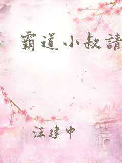 霸道小叔请轻撩