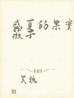 盛夏的果实 小薇子