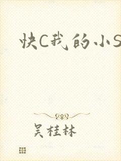 快C我的小SB