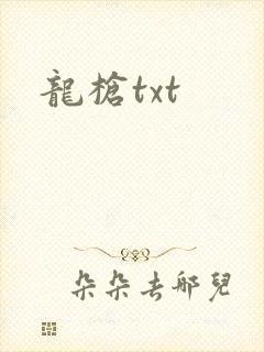 龙枪txt