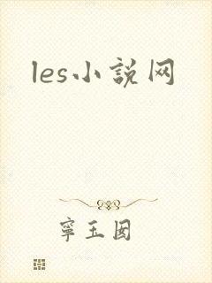 les小说网