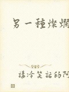 另一种灿烂生活