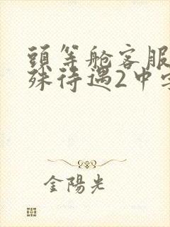 头等舱客服的特殊待遇2中字