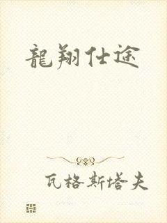 龙翔仕途