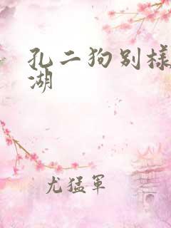 孔二狗别样的江湖