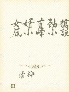 女婿有劲枪枪到底小峰小说