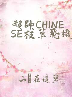 超帅CHINESE校草飞机BLUE