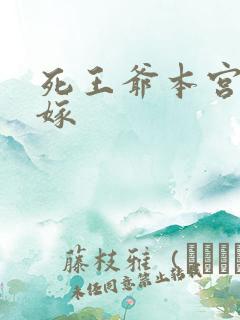 死王爷本宫已改嫁