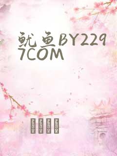 鱿鱼BY2297COM