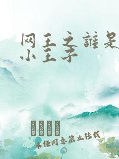 网王之谁是我的小王子