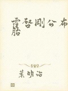 霍启刚公布龙凤胎