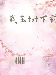武王txt下载