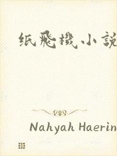 纸飞机小说