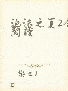 泡沫之夏2全文阅读