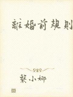 离婚前规则小说