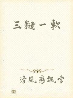 三糙一软