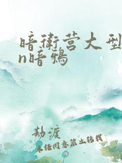 暗卫营大型hpn暗鸦