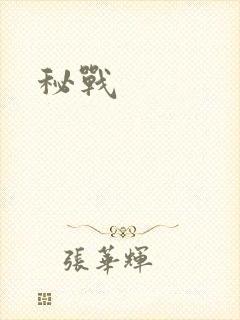 秘战