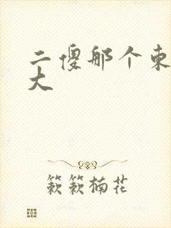 二傻那个东西真大