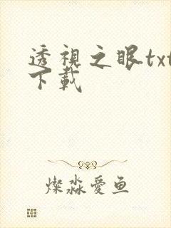 透视之眼txt下载