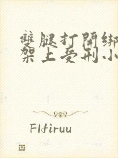 双腿打开绑在刑架上受刑小说