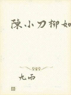 陈小刀柳如意