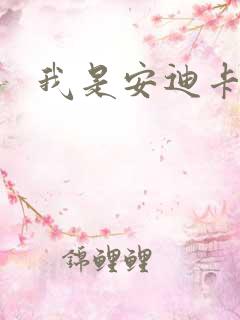 我是安迪卡罗尔