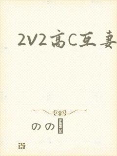 2V2高C互妻