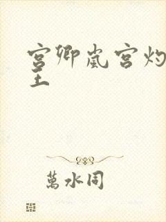 宫卿岚宫灼摄政王