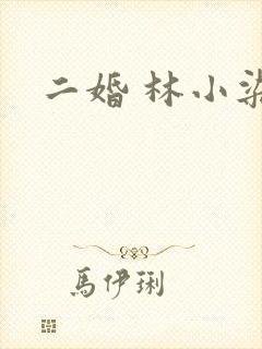 二婚 林小染