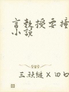 言教授要撞坏了小说