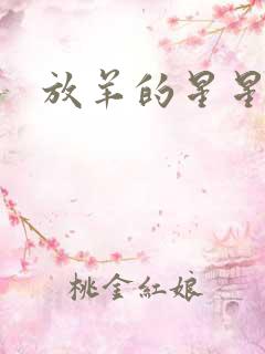 放羊的星星续集