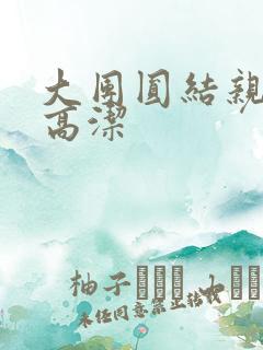 大团圆结亲情会高洁