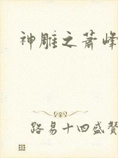 神雕之萧峰后人