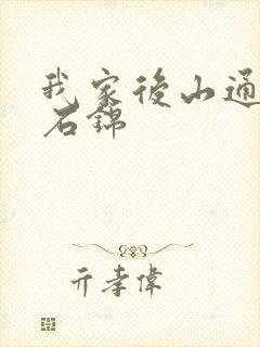 我家后山通仙界石锦