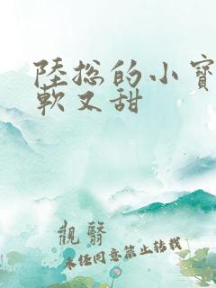 陆总的小宝贝又软又甜