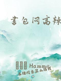 书包网高辣文