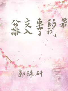 公交车的最后一排入了我