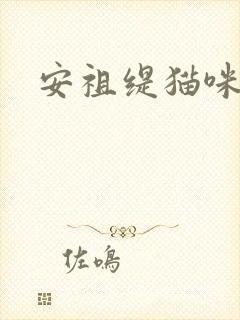 安祖缇猫咪抱抱