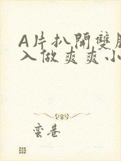 A片扒开双腿进入做爽爽小说