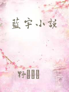 蓝宇小说