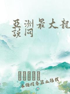 亚洲最大龙腾小说网