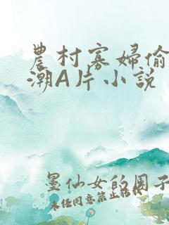 农村寡妇偷人高潮A片小说