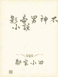 影帝男神不节制 小说