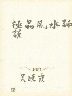 极品风水师 小说